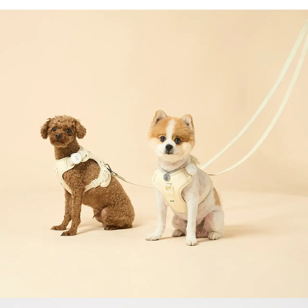 Duit - Pet Harness Leash - Duit - Home & Living, Accessories - Harumio