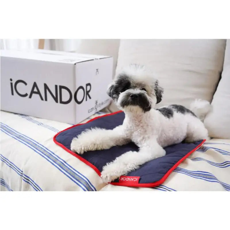 iCANDOR - Quilting Cushion - iCANDOR - Pet Cushion - Harumio