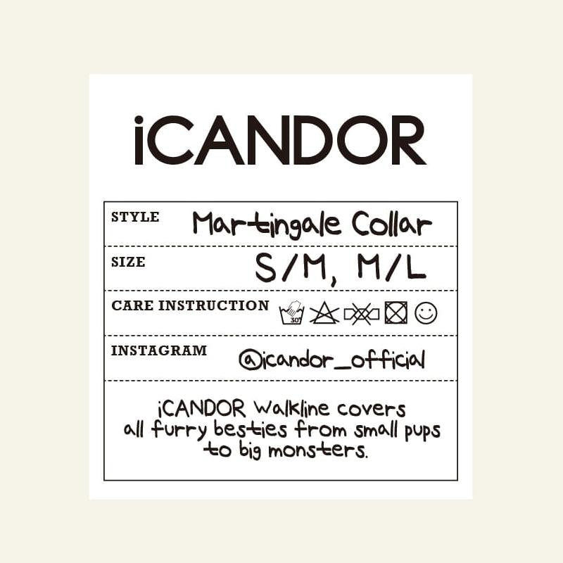 iCANDOR - Smooth Martingale Collar