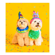 Wiggle Wiggle - Pet Party Set - Wiggle Wiggle - Pet Accesories - Harumio