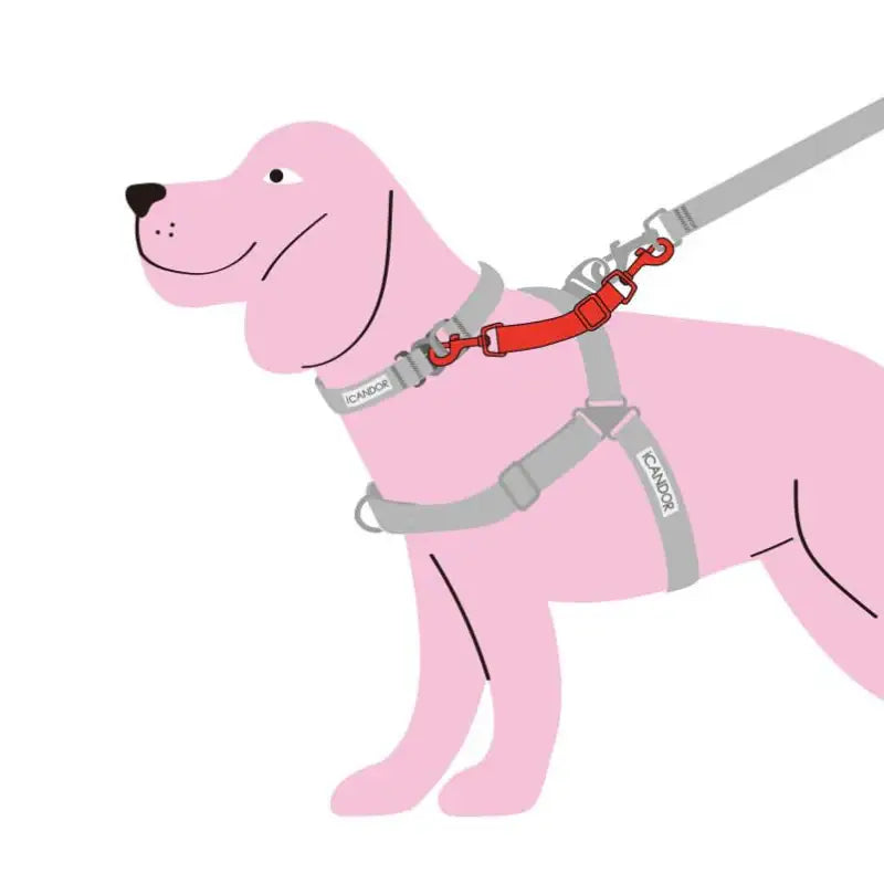 iCANDOR - Gentle Connector _Signature - iCANDOR - Pet Lead Connector - Harumio