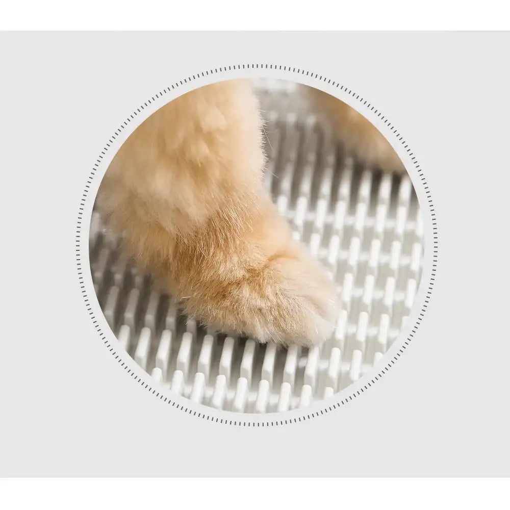 Duit - Pet Custom Potty Board - Duit - Home & Living, Accessories - Harumio