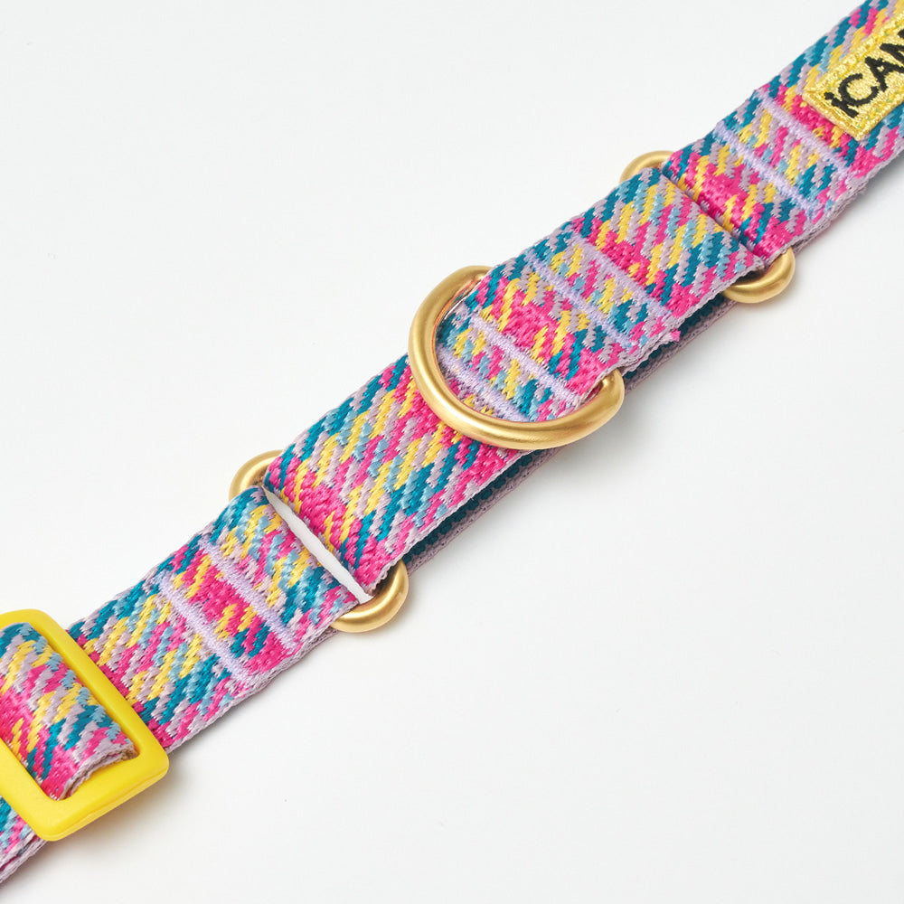 iCANDOR - Martingale Collar Buckle Edinburgh Check