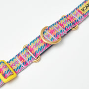 iCANDOR - Martingale Collar Buckle Edinburgh Check