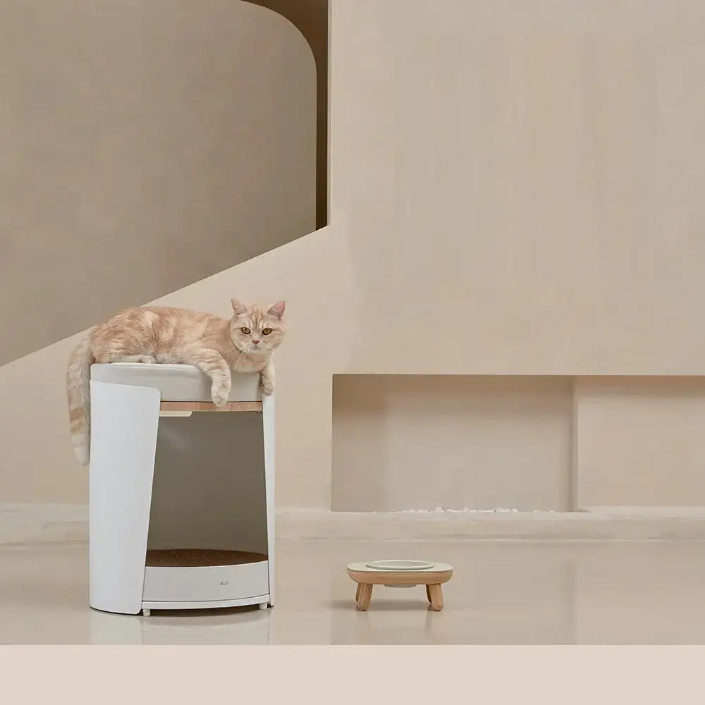 Duit - Pet Round Table House - Duit - Home & Living, Accessories - Harumio