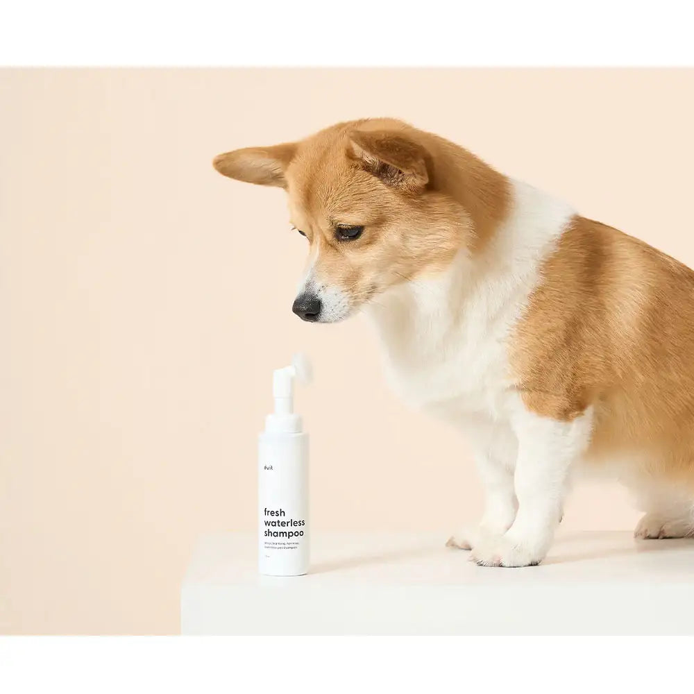 Duit - Pet Fresh Waterless Shampoo - Duit - Home & Living, Accessories - Harumio
