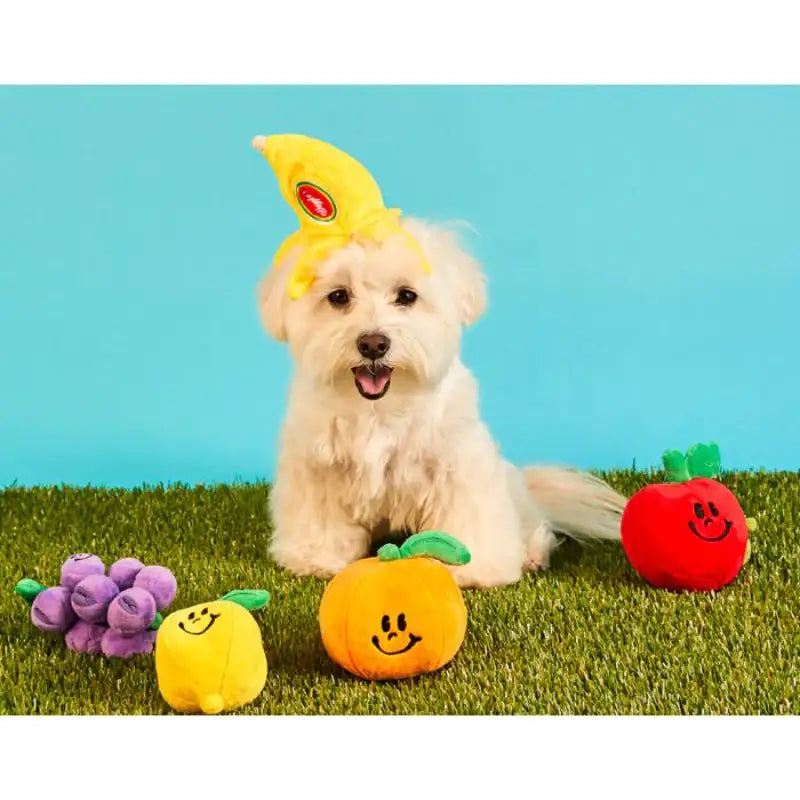 Wiggle Wiggle - Nosework Toy - Wiggle Wiggle - Pet - Harumio