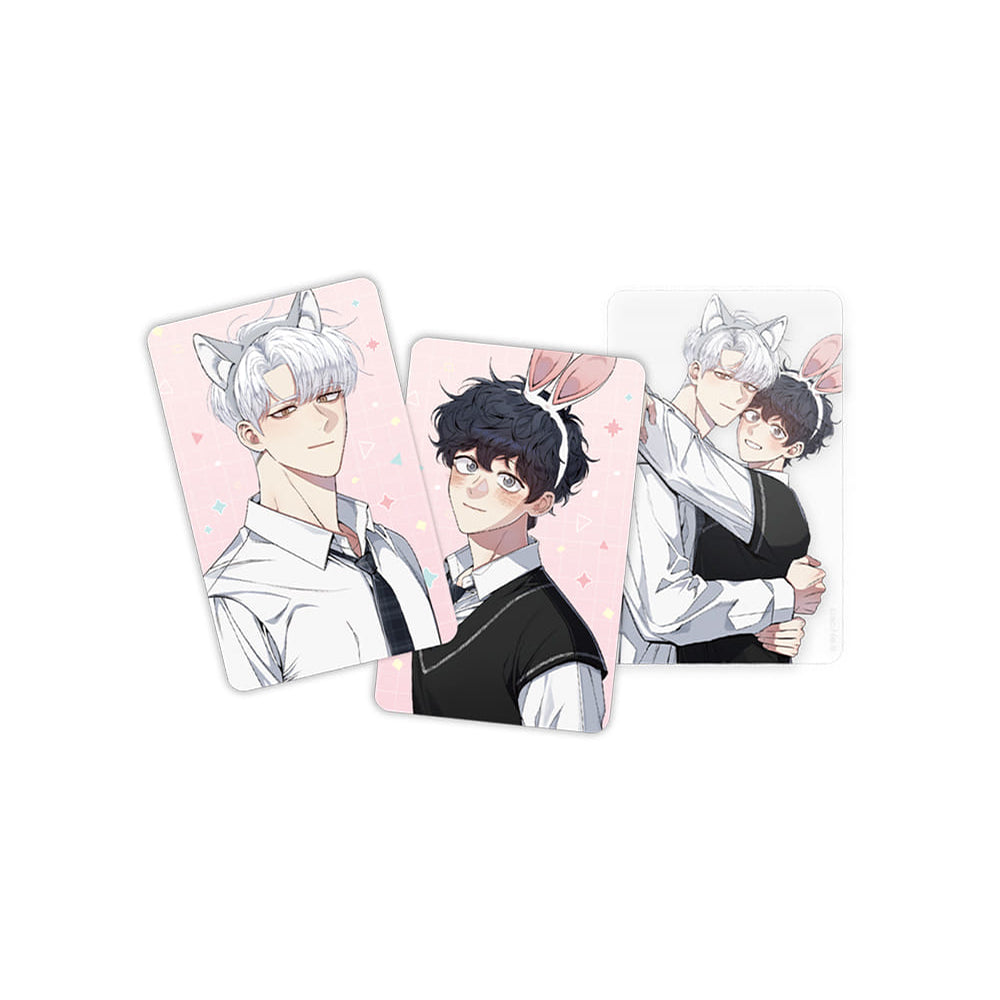 Cherry Blossoms After Winter - Photo Album Set