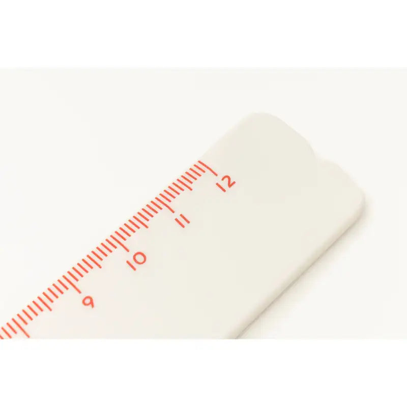 Dinotaeng - Quokka & BOBO 12cm Stick Ruler - Dinotaeng - Rulers - Harumio