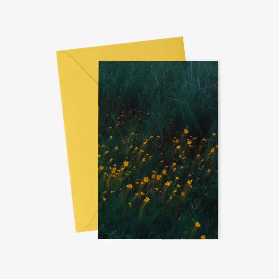 Kim Ji Neok - Flower Postcard & Envelope Set - Marpple Shop - Postcard - Harumio