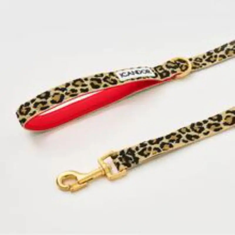iCANDOR - Gentle Leash - iCANDOR - Pet Lead - Harumio