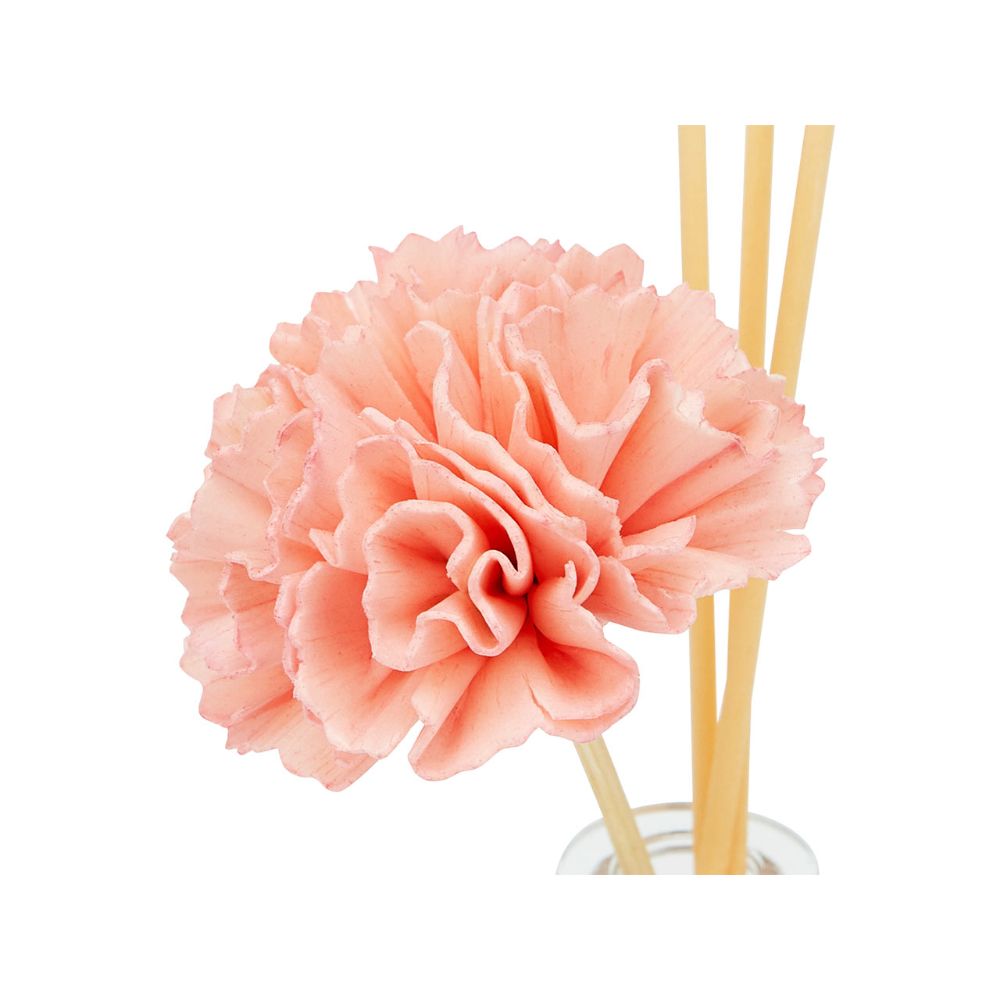 Kakao Friends - Little Ryan Carnation Diffuser