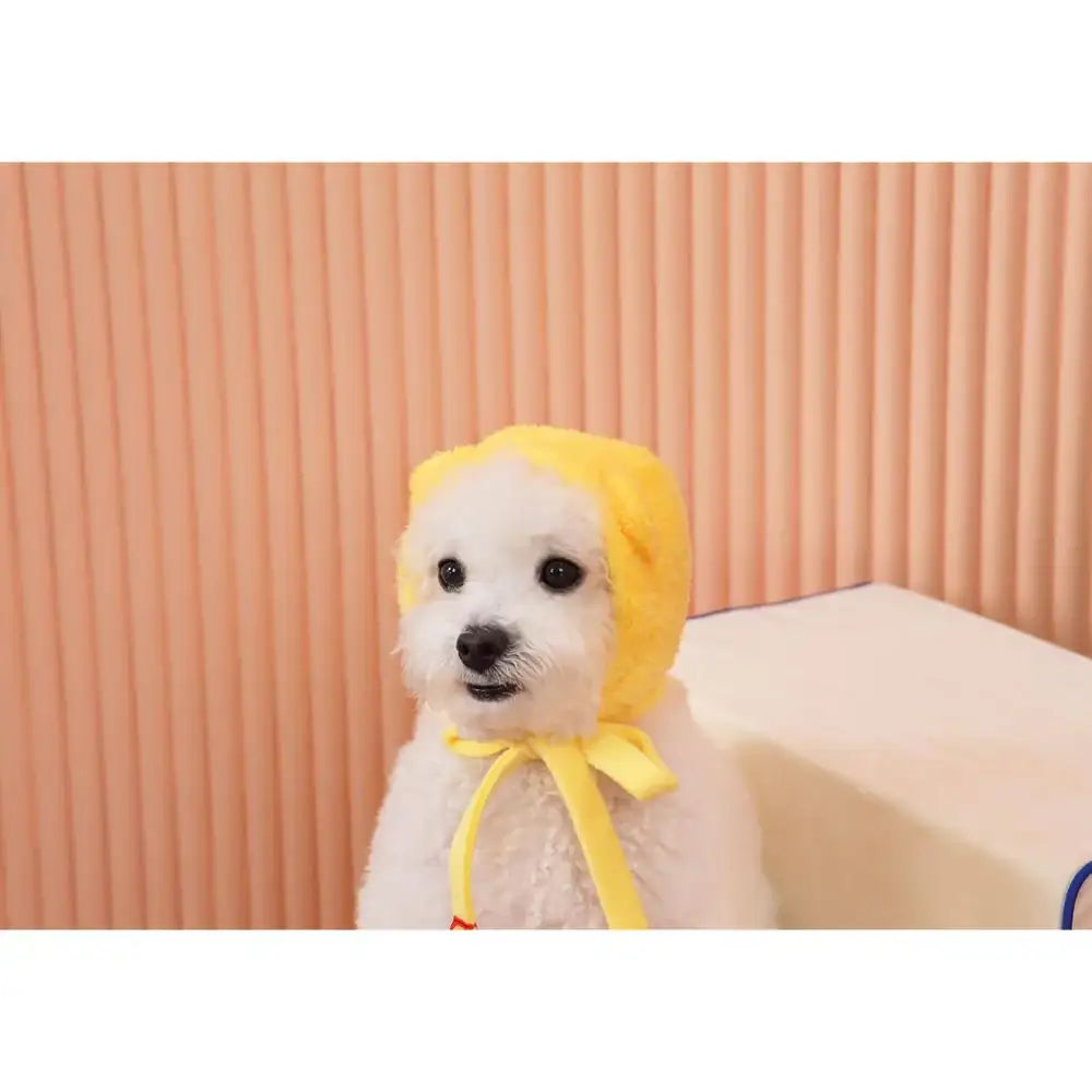 Kakao Friends - My Pet Hat Cloak Set - Kakao Friends - Accessories - Harumio