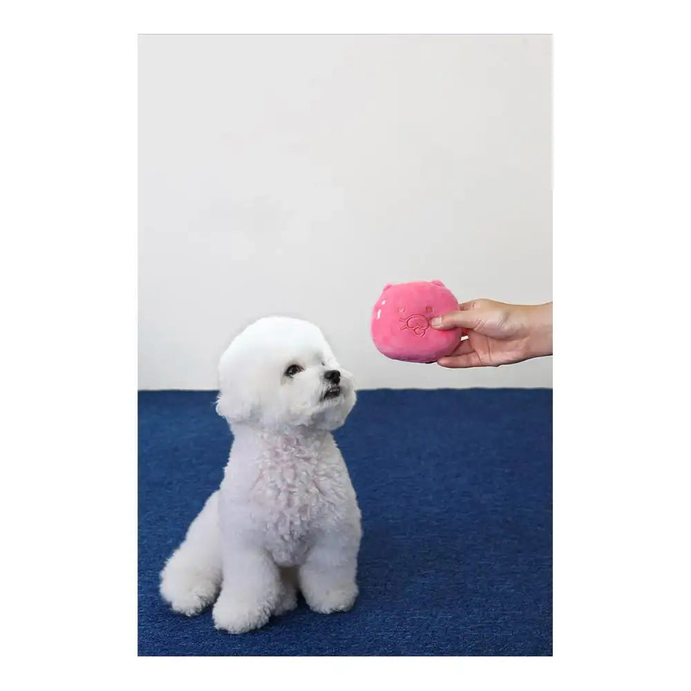 Kakao Friends - My Pet Jelly Mix Nose Work Set - Kakao Friends - Accessories - Harumio