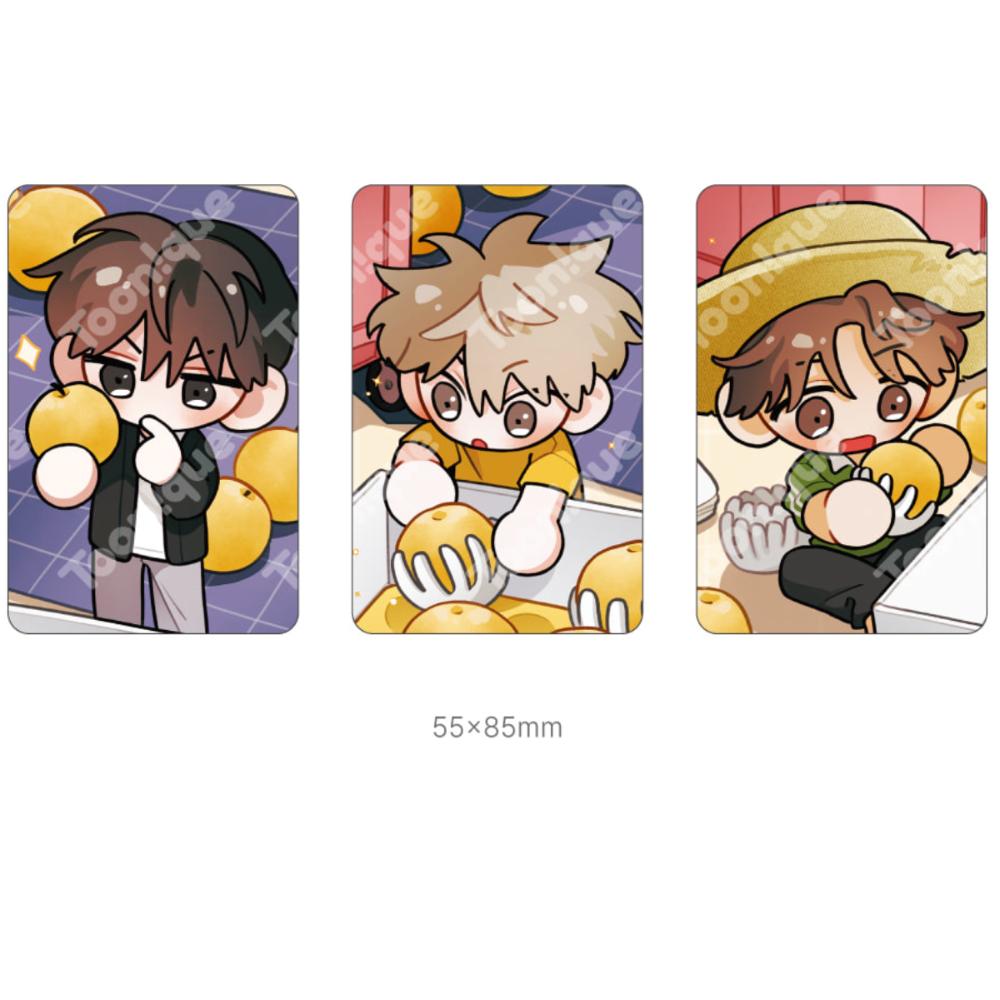 When Pear Blossoms Bloom X Toon!que - 2026 Fabric Calendar SET