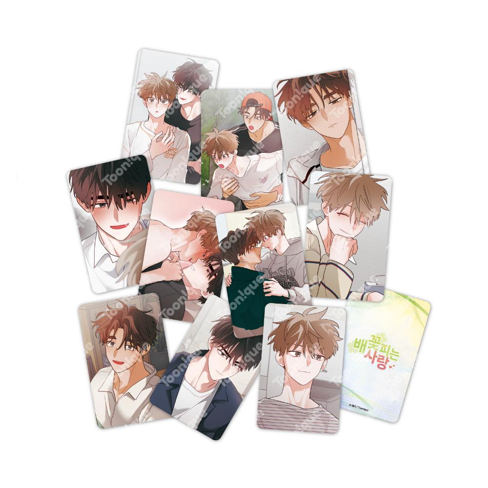 When Pear Blossoms Bloom X Toon!que - Illustration Photocard (Random)
