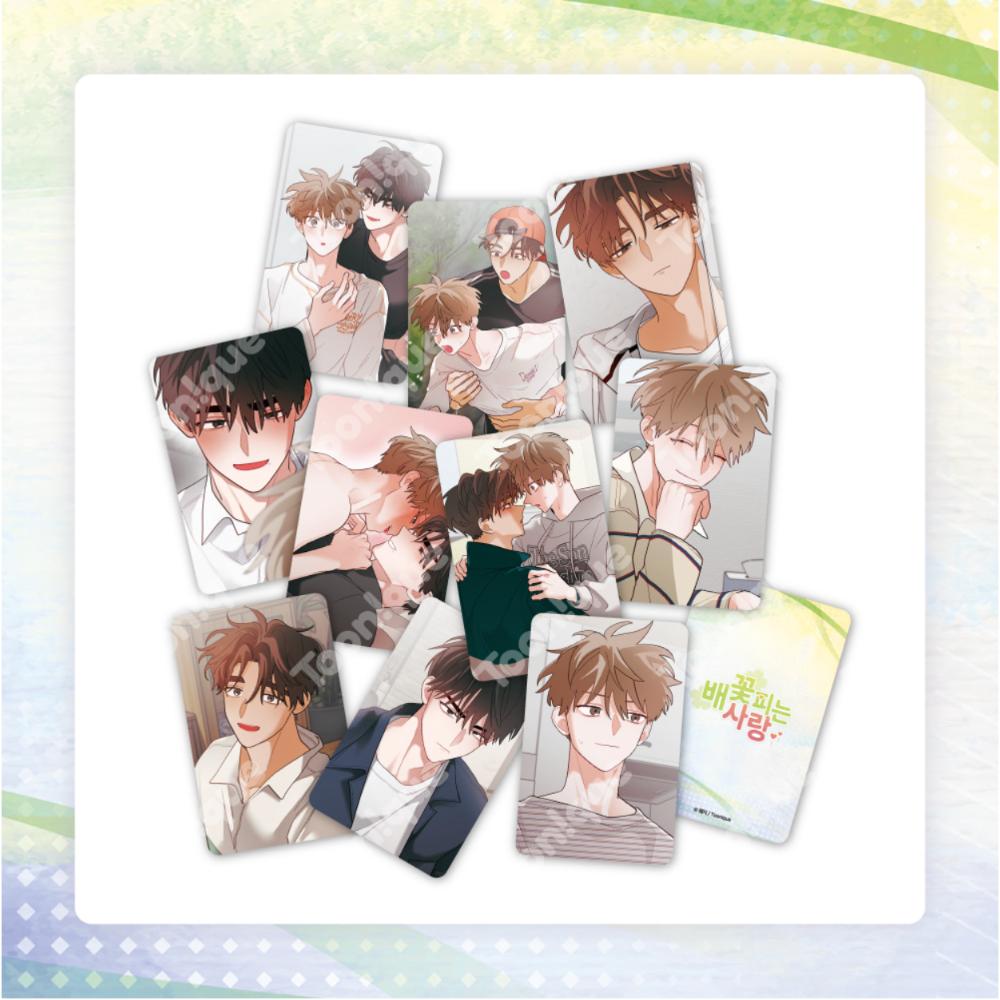 When Pear Blossoms Bloom X Toon!que - Illustration Photocard (Random)