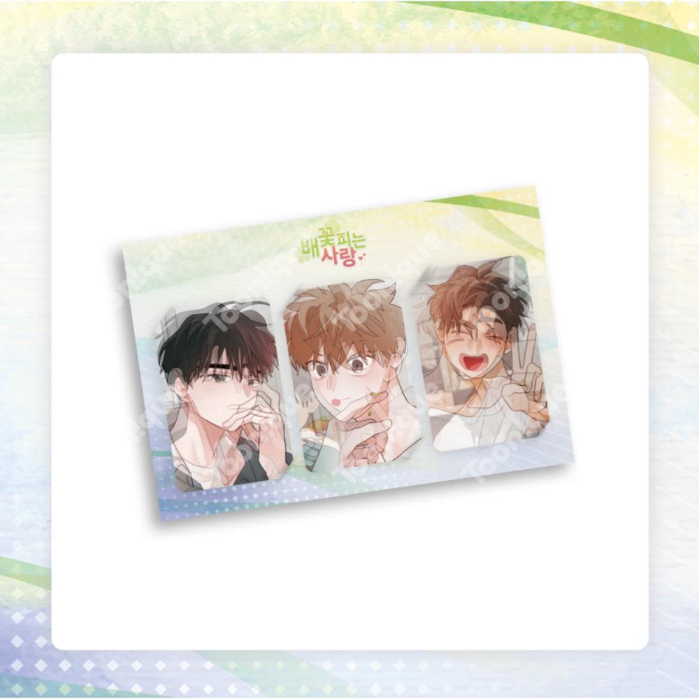 When Pear Blossoms Bloom X Toon!que - Lenticular Photocard Set