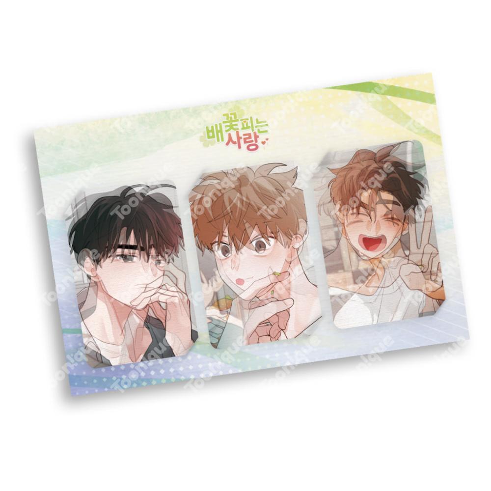 When Pear Blossoms Bloom X Toon!que - Lenticular Photocard Set