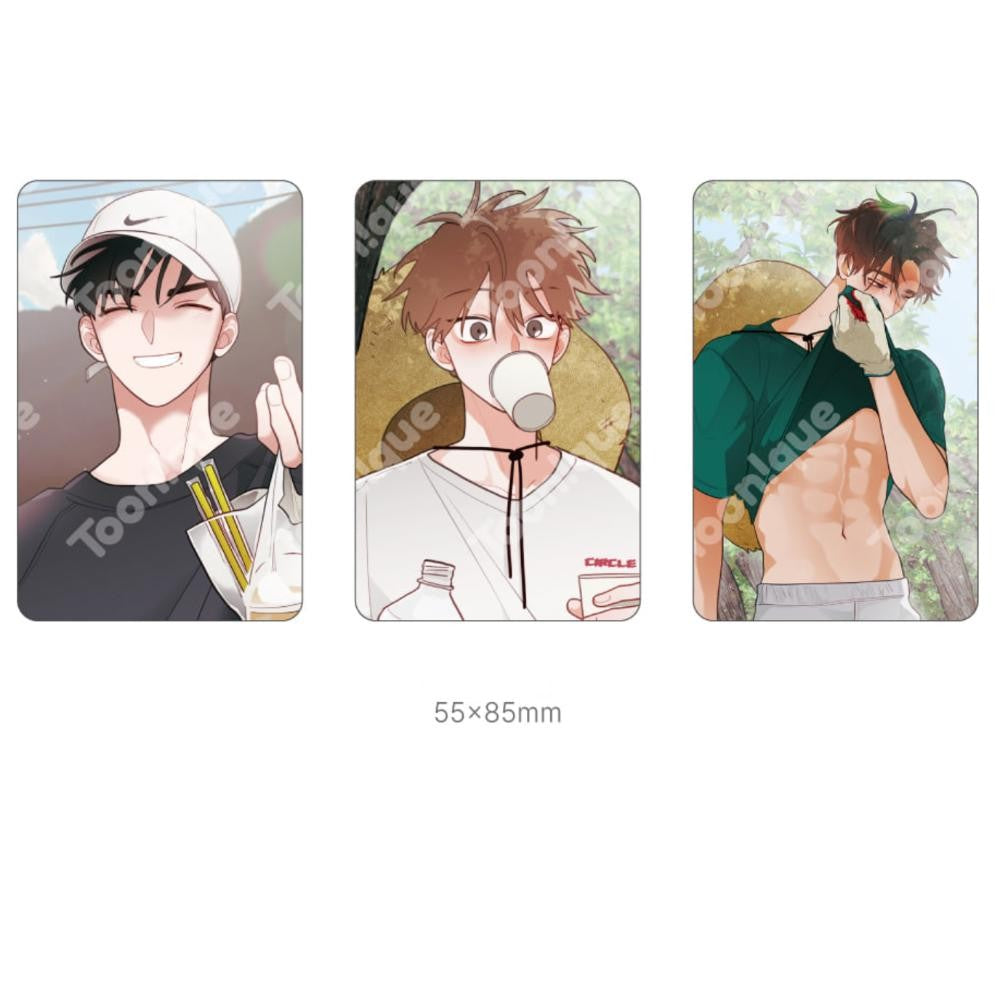 When Pear Blossoms Bloom X Toon!que - Honey Pear Farm Set