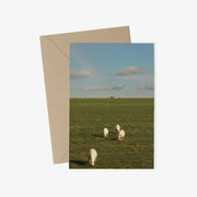 Is0film Gallery - Mongolia Peace Postcard & Envelope Set - Marpple Shop - Postcard - Harumio
