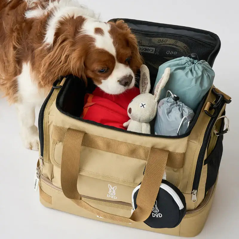 DOD X iCANDOR - Rover Pack - iCANDOR - Pet Carriers - Harumio