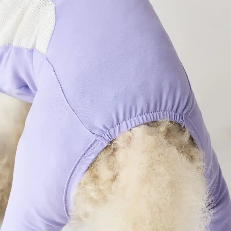iCANDOR - Ocean Suit - iCANDOR - Pet Clothes - Harumio