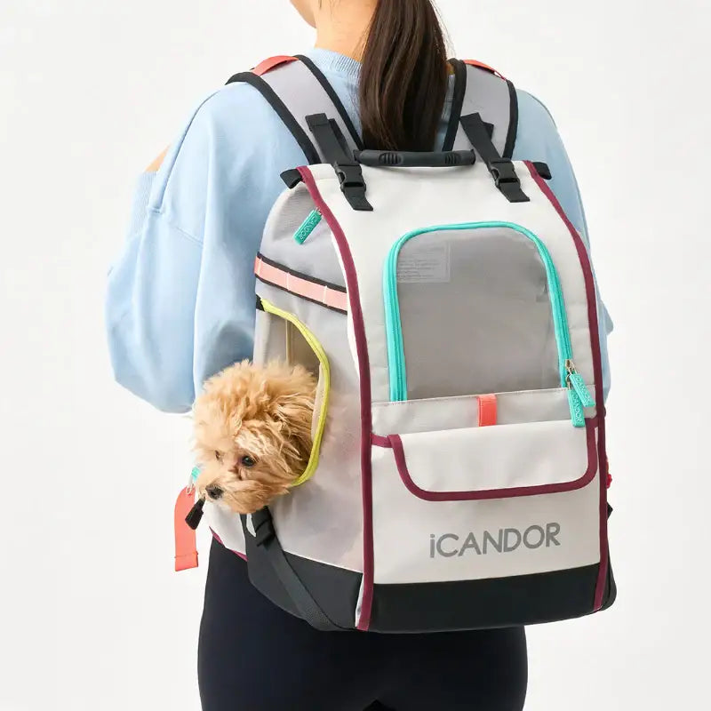 iCANDOR - JIGE Bag - iCANDOR - Pet Carriers - Harumio