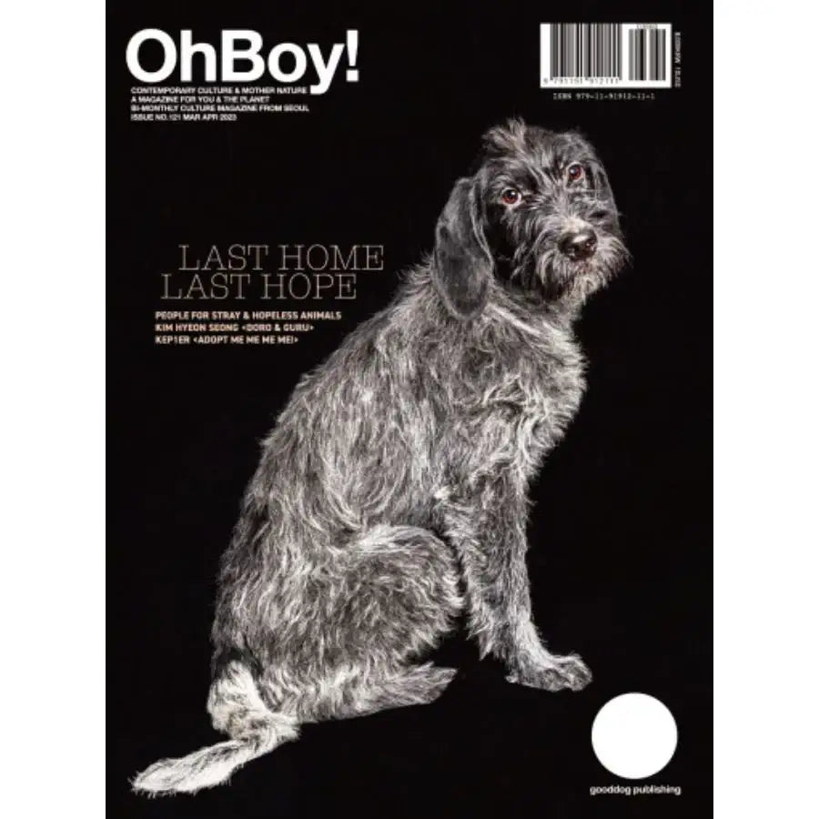 OhBoy! - No.121 - Magazine - Gooddog Publishing - Magazine - Harumio