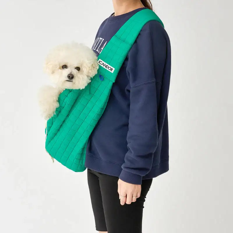 iCANDOR - Guard Cushion - iCANDOR - Pet Cushion - Harumio