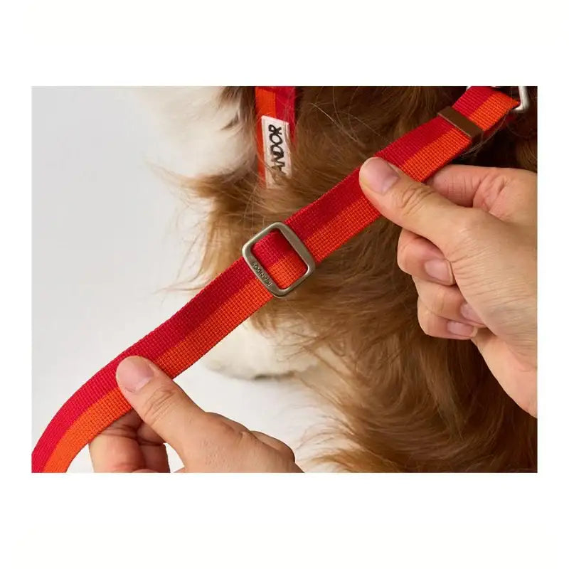 DOD X iCANDOR - Gentle Leash Bolt, Long_DOD - iCANDOR - Pet Leash - Harumio