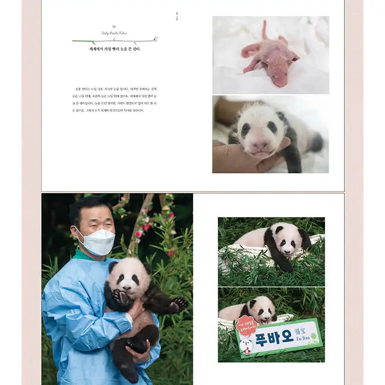 Panda Fu Bao - Photo Essay - Construction Junior - Manhwa - Harumio