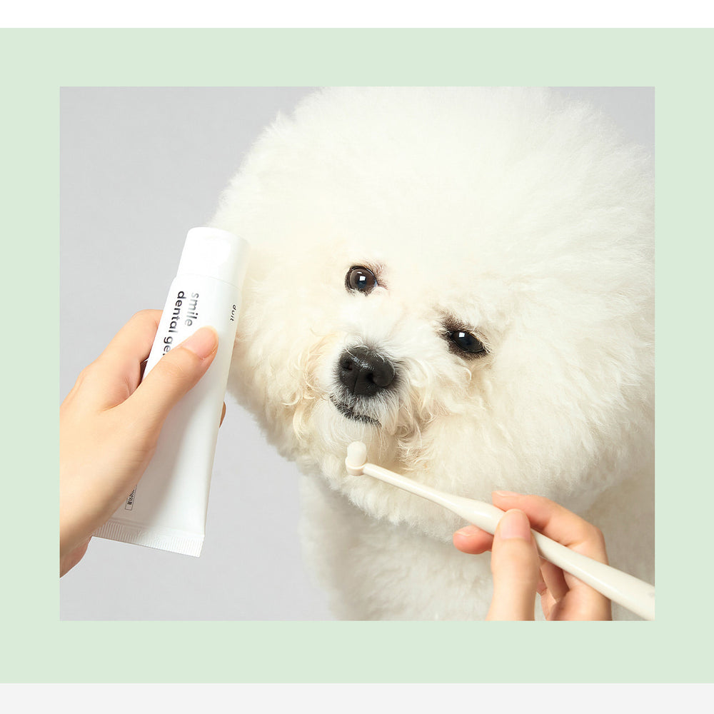 Duit - Pet Smile Dental Brush & Gel Set