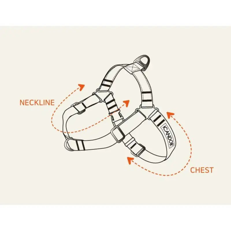 iCANDOR - No-Pull Harness - iCANDOR - Pet Harness - Harumio