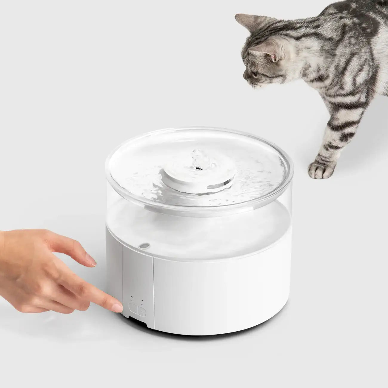 Duit - Water Pot - Duit - Home & Living, Accessories - Harumio