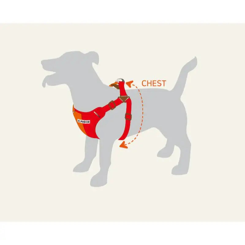 iCANDOR - Snuggle Harness - iCANDOR - Pet Harness - Harumio