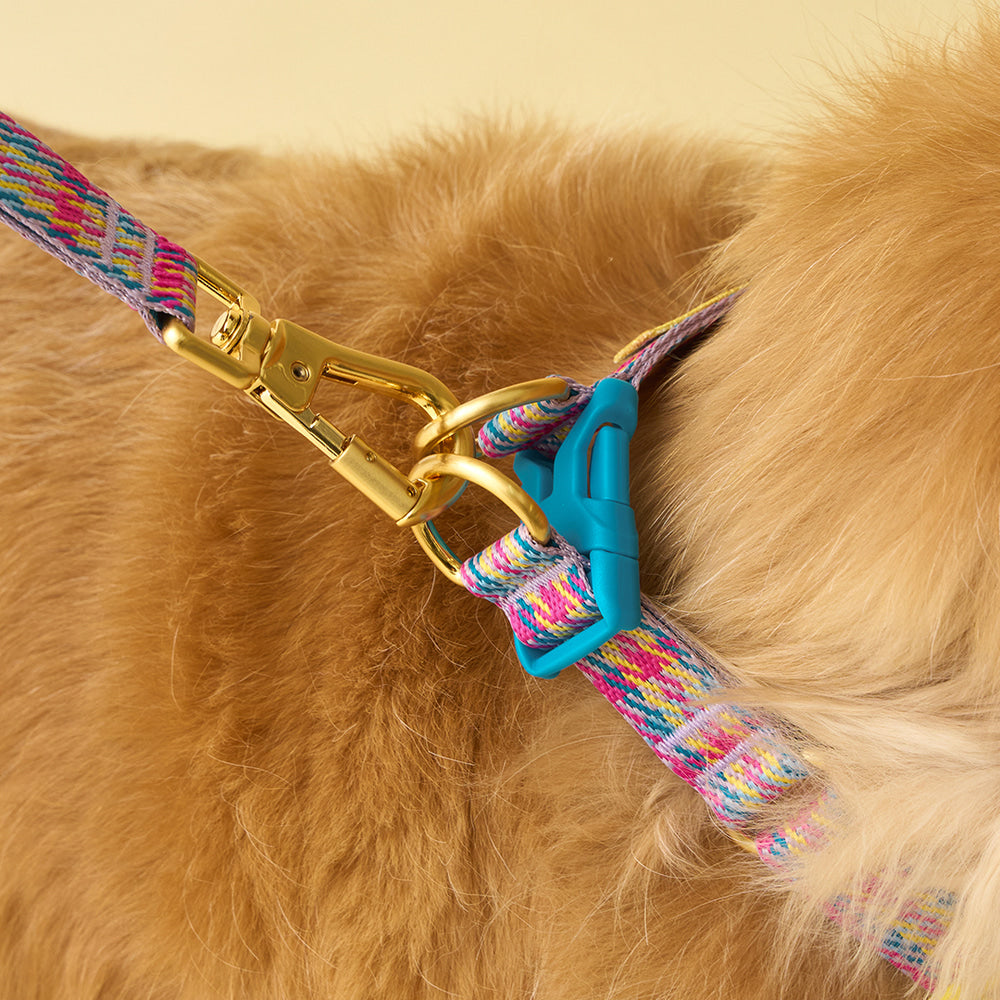 iCANDOR - Gentle Collar Dual Edinburgh Check