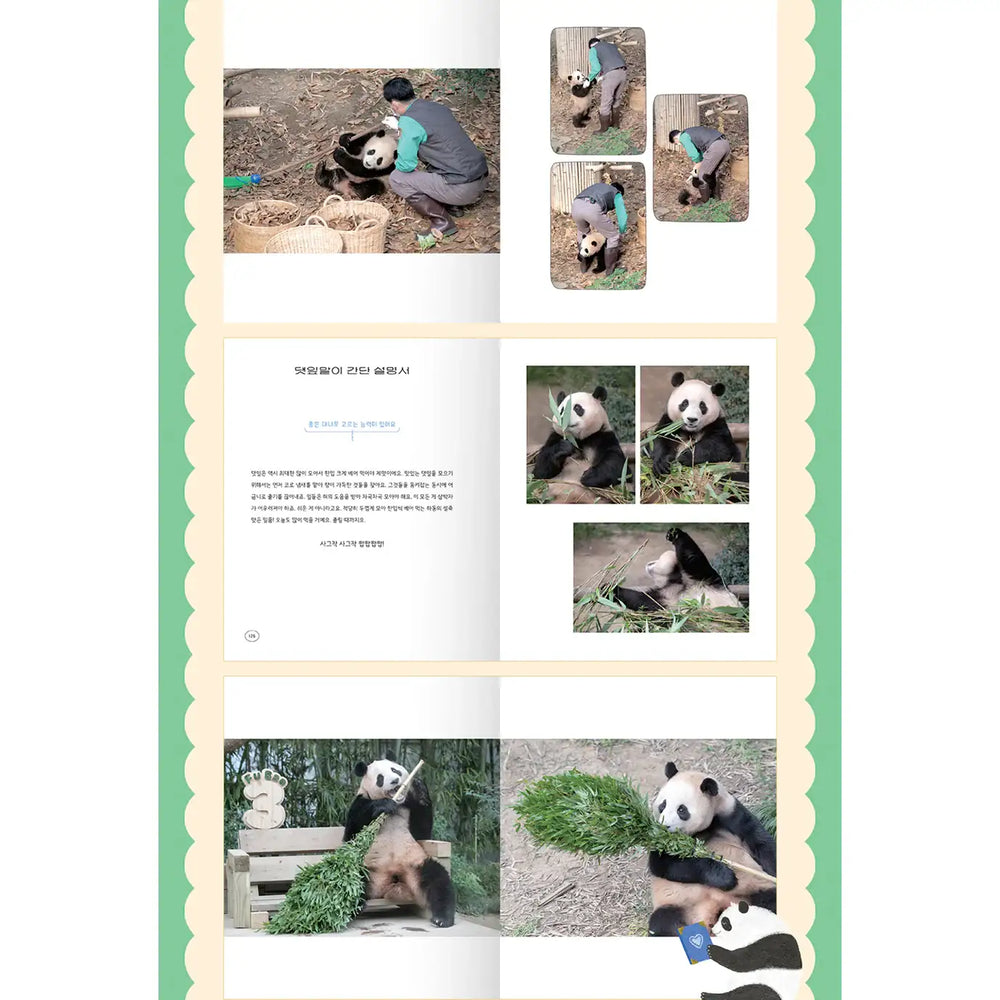 Panda Fu Bao's Perspective - Book - Wisdom House - Manhwa - Harumio