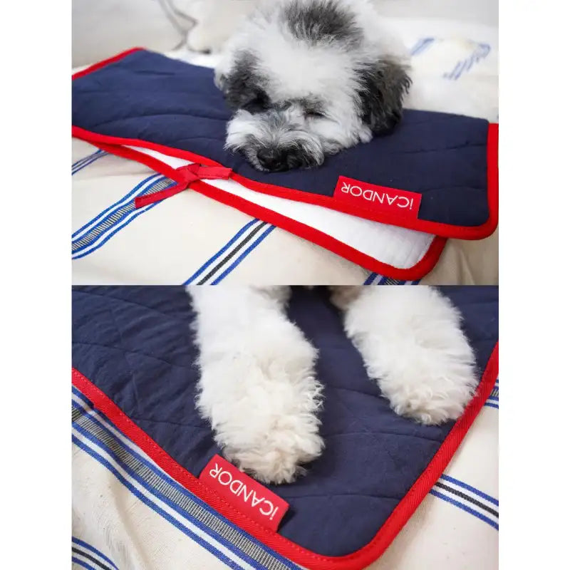 iCANDOR - Quilting Cushion - iCANDOR - Pet Cushion - Harumio