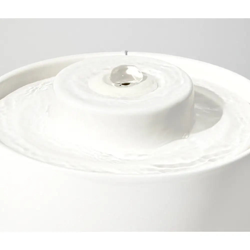 Duit - Pet Wave Pot - Duit - Home & Living, Accessories - Harumio