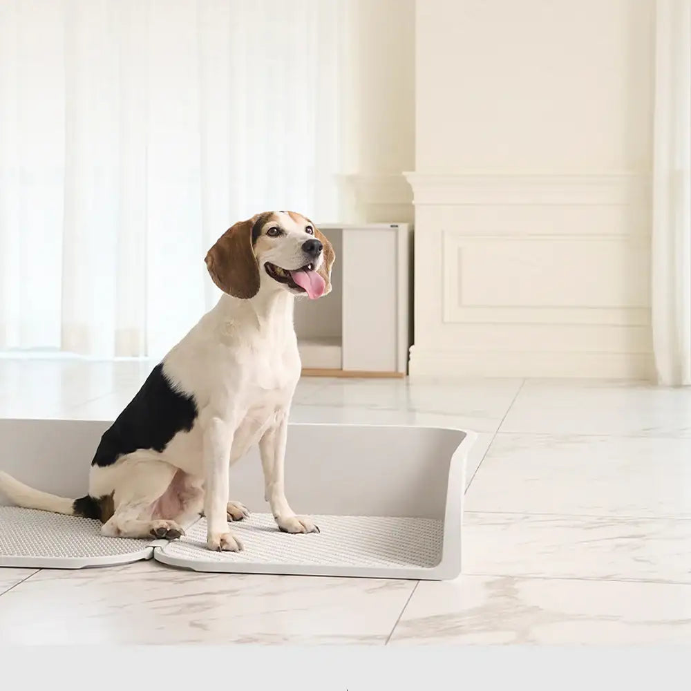 Duit - Pet Custom Potty Board - Duit - Home & Living, Accessories - Harumio