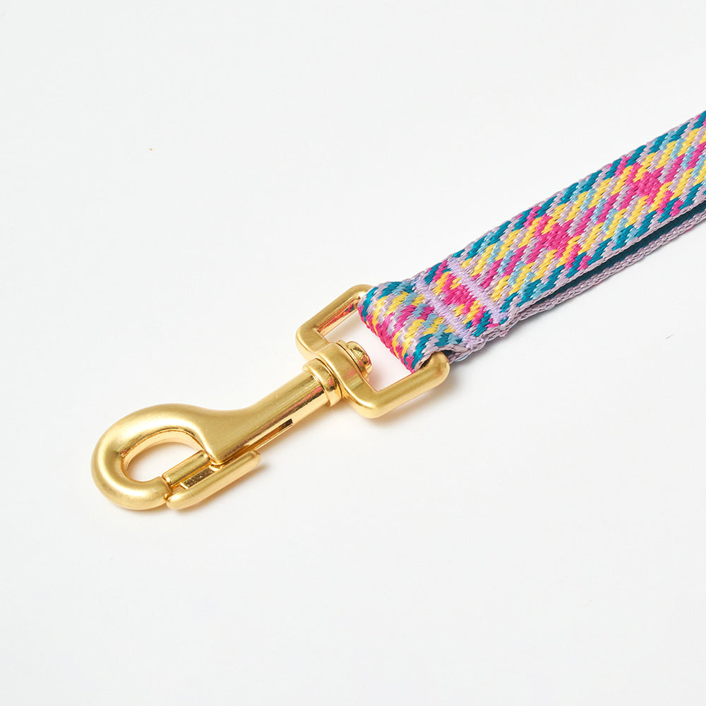 iCANDOR - Gentle Leash Edinburgh Check