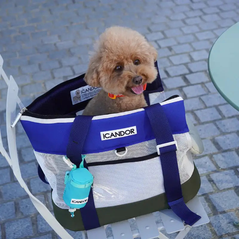 iCANDOR - Brisbane Bag - iCANDOR - Pet Carriers - Harumio