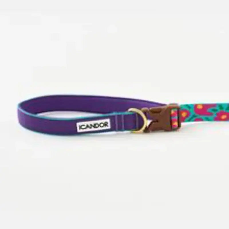 iCANDOR - Gentle Leash Bolt - iCANDOR - Pet Lead - Harumio