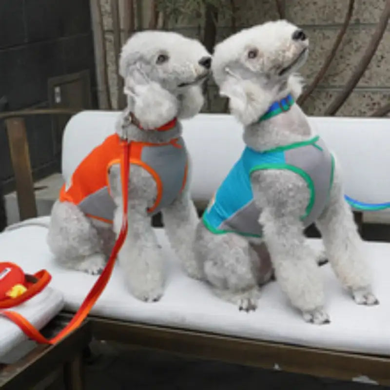 iCANDOR - ICEberg Suit - iCANDOR - Pet Clothes - Harumio