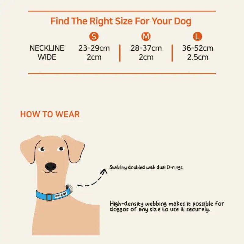 DOD X iCANDOR - Gentle Collar Dual_DOD - iCANDOR - Pet Collars - Harumio