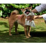 Duit - Pet Fresh Tissue - Duit - Home & Living, Accessories - Harumio