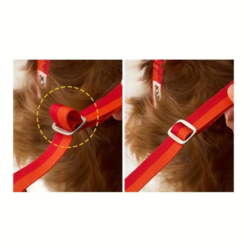 DOD X iCANDOR - Gentle Leash Bolt, Long_DOD - iCANDOR - Pet Leash - Harumio