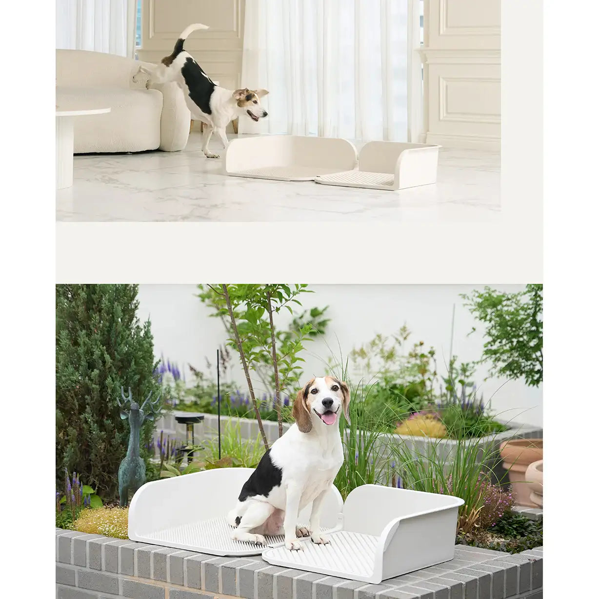Duit - Pet Custom Potty Board - Duit - Home & Living, Accessories - Harumio