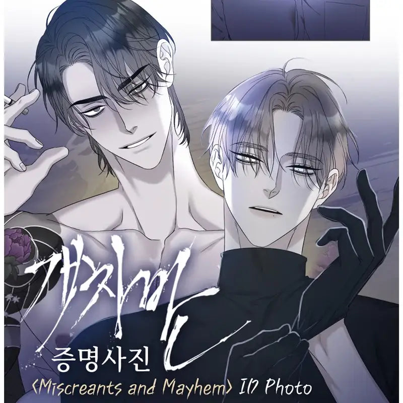 Miscreants and Mayhem - ID Photo - Bonare - ID Photos - Harumio